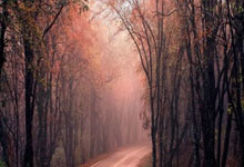 利瓦科维奇：我们习惯了与最好的球队对抗；对手非常危险.