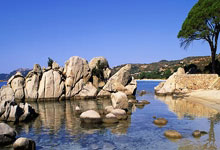 2025年山东省体育局长会议召开.